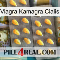 Viagra Kamagra Cialis cialis2